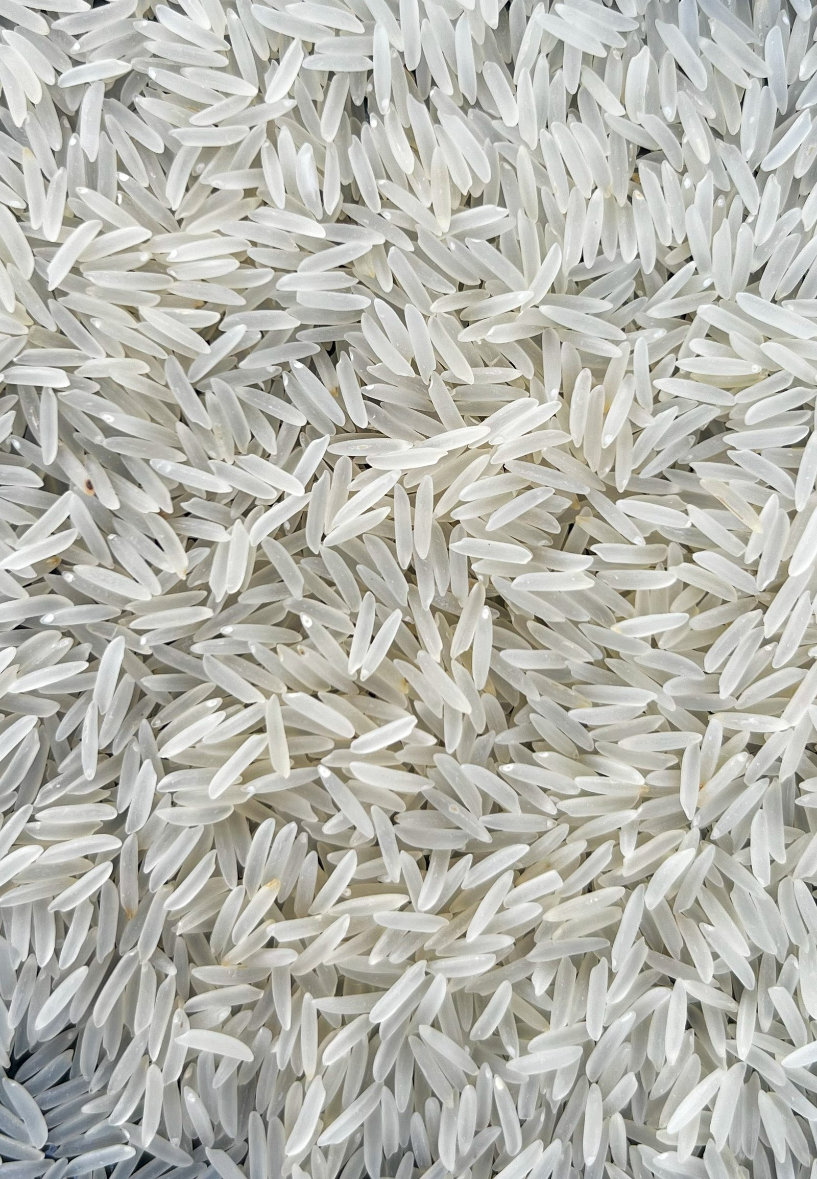 1121 Sella Basmati Rice